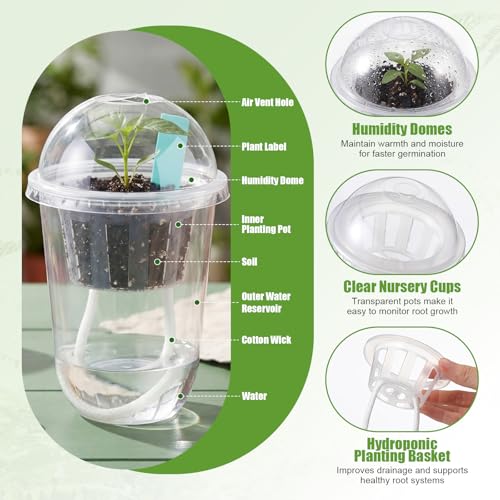 60-Pack Clear Self-Watering Nu - Plastic Dome Clear avis et prix