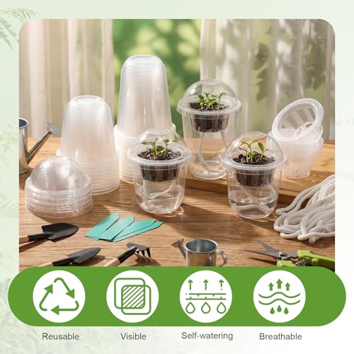 60-Pack Clear Self-Watering Nu - Plastic Dome Clear avis et prix