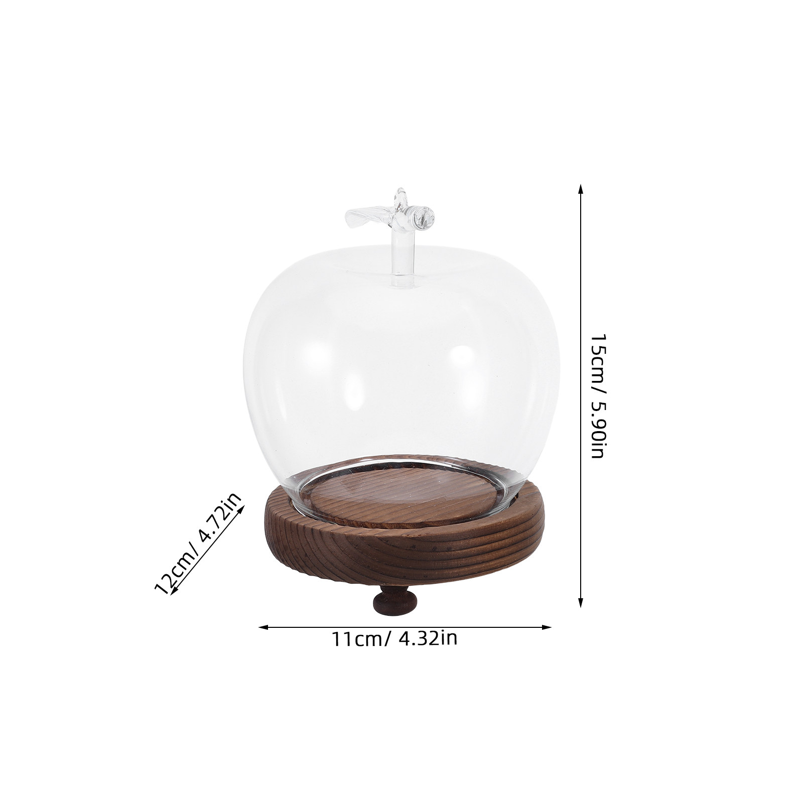 Decorative Glass Dome with Sol - Plastic Dome Clear avis et prix