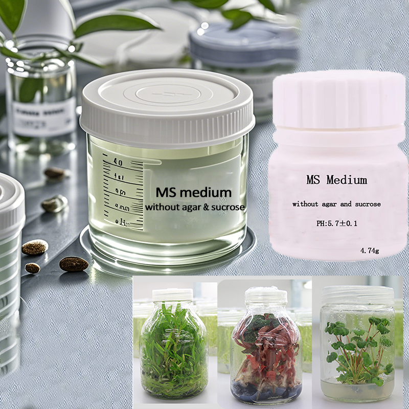 MS medium Without Agar Or Sucr - Agar Tissue Culture avis et prix