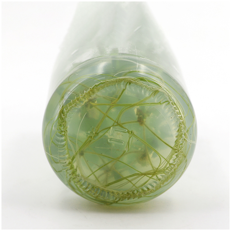 MS medium Without Agar Or Sucr - Agar Tissue Culture avis et prix