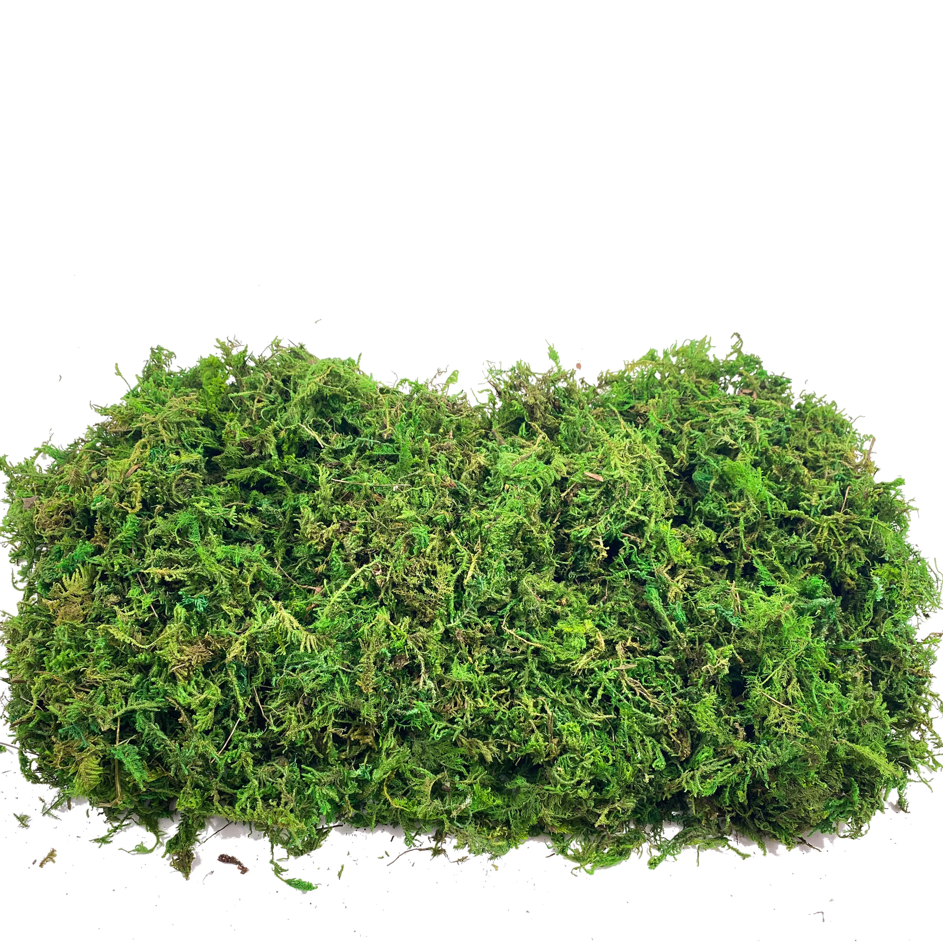 Fake Moss Artificial Moss for  - Sphagnum Moss Dry avis et prix