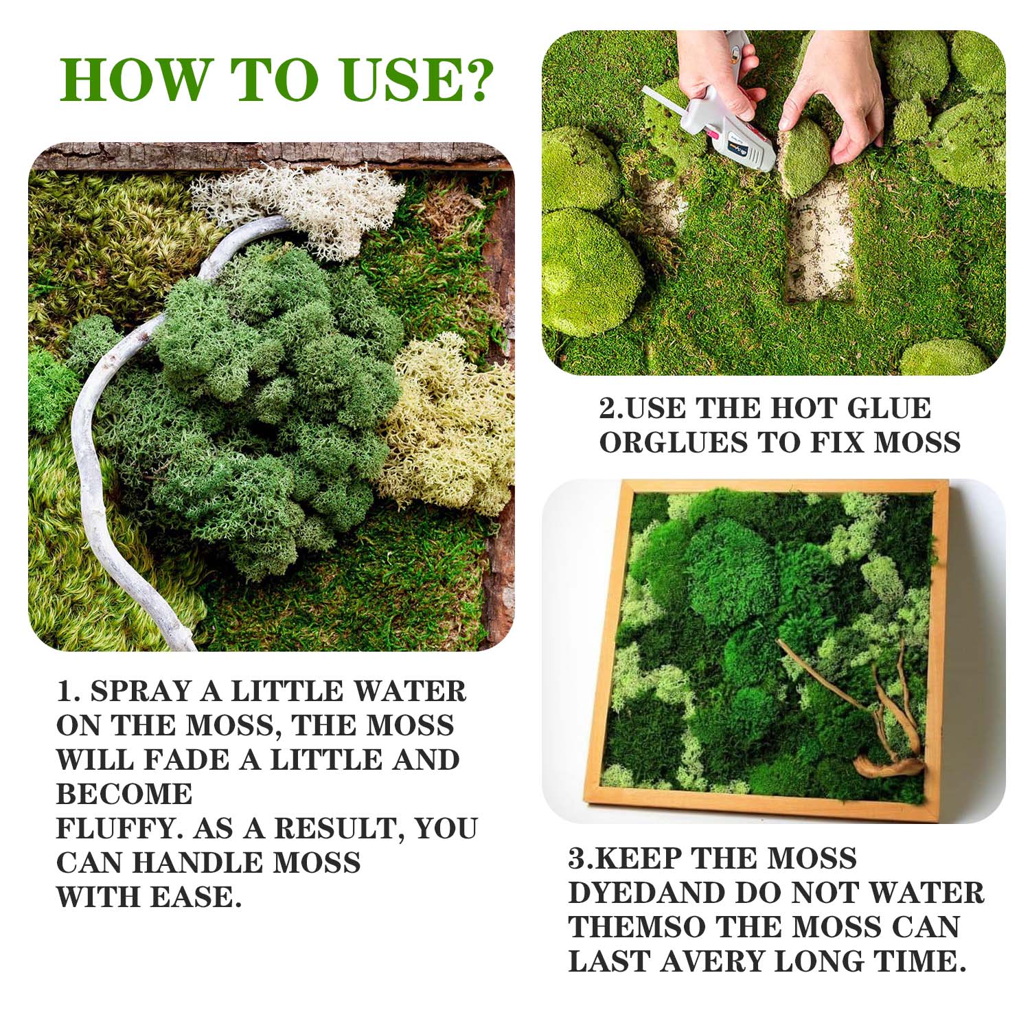 Artificial Green Plants Eterna - Sphagnum Moss Dry avis et prix