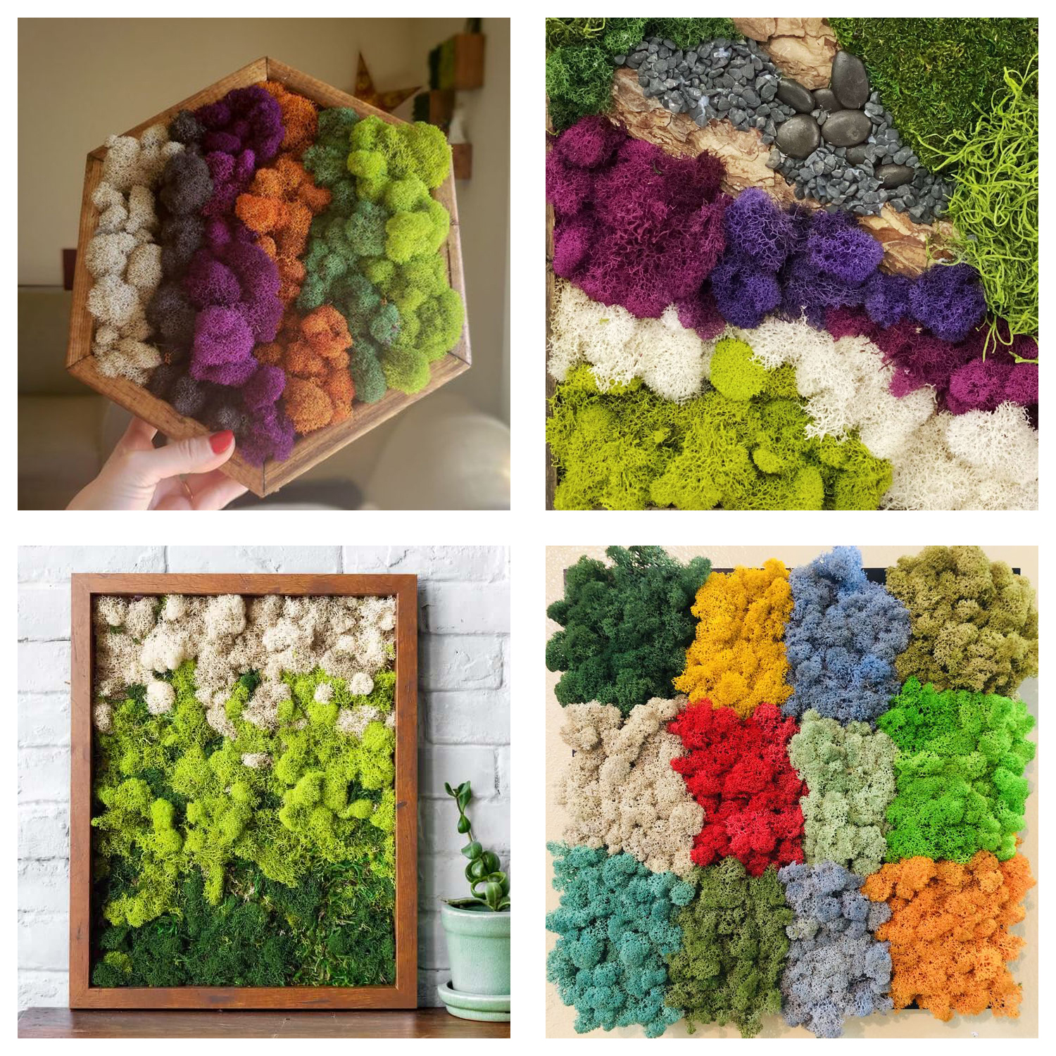 Artificial Green Plants Eterna - Sphagnum Moss Dry avis et prix