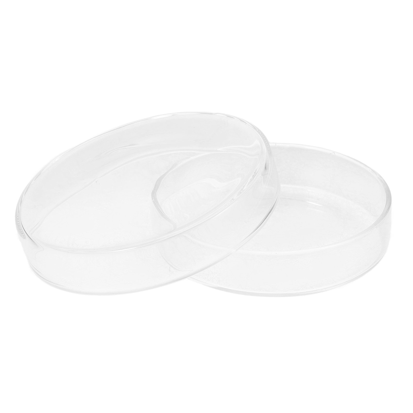 Glass Petri Dish High Borosili - Agar Tissue Culture avis et prix