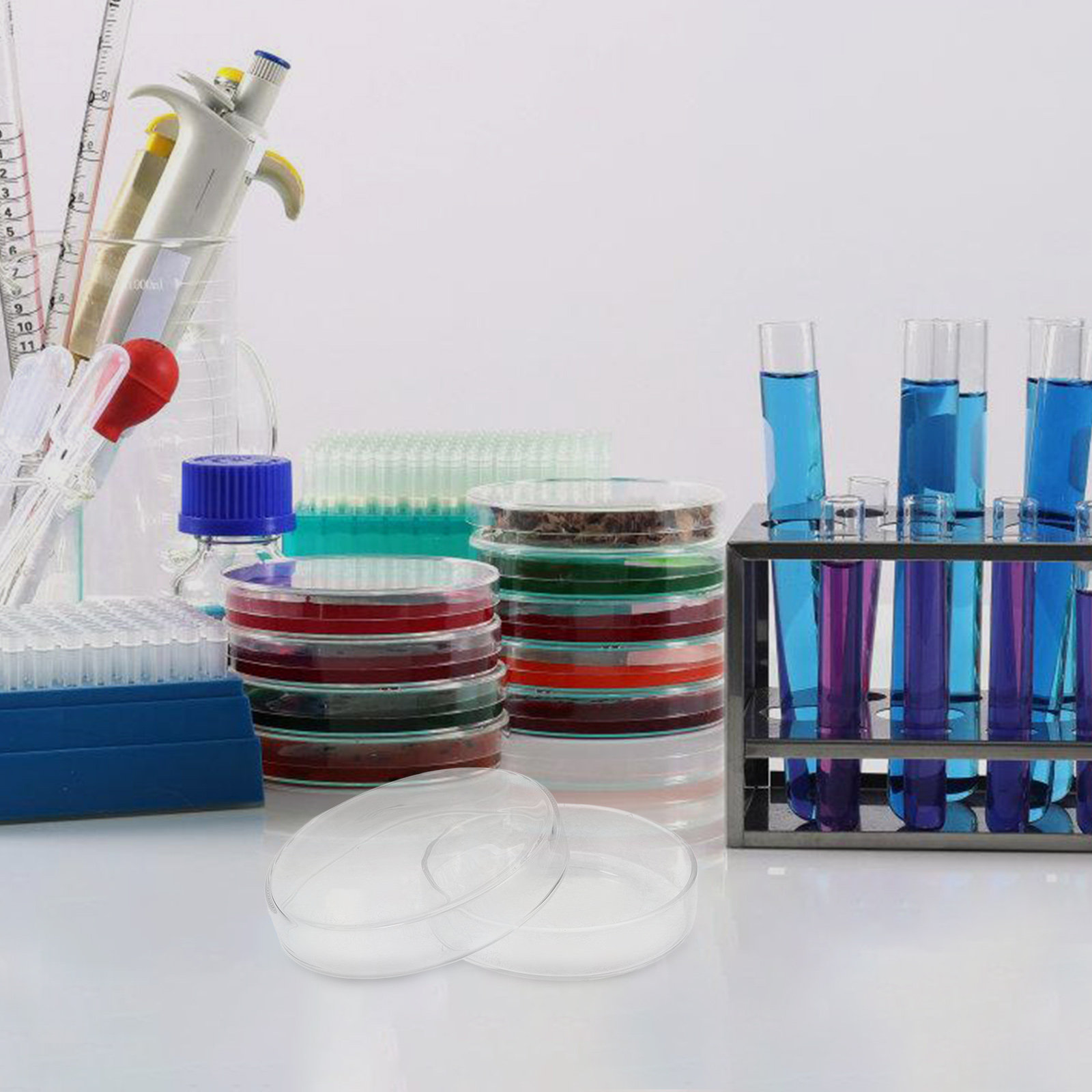 Glass Petri Dish High Borosili - Agar Tissue Culture avis et prix