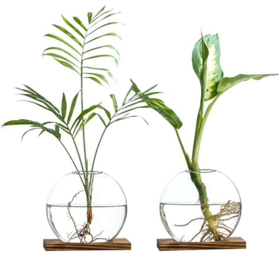 Glass Planter Propagation Stat - Propagation Station Vase avis et prix