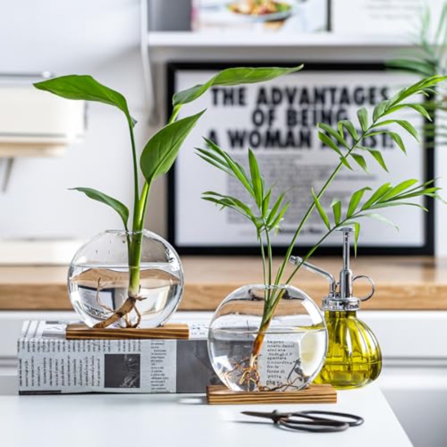 Glass Planter Propagation Stat - Propagation Station Vase avis et prix