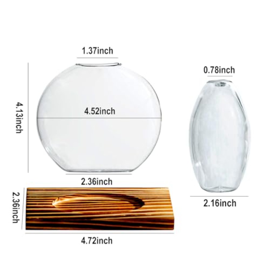 Glass Planter Propagation Stat - Propagation Station Vase avis et prix