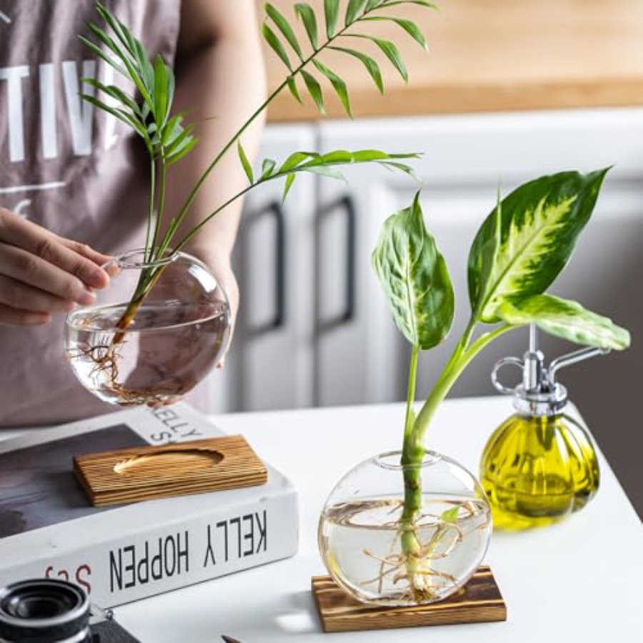 Glass Planter Propagation Stat - Propagation Station Vase avis et prix