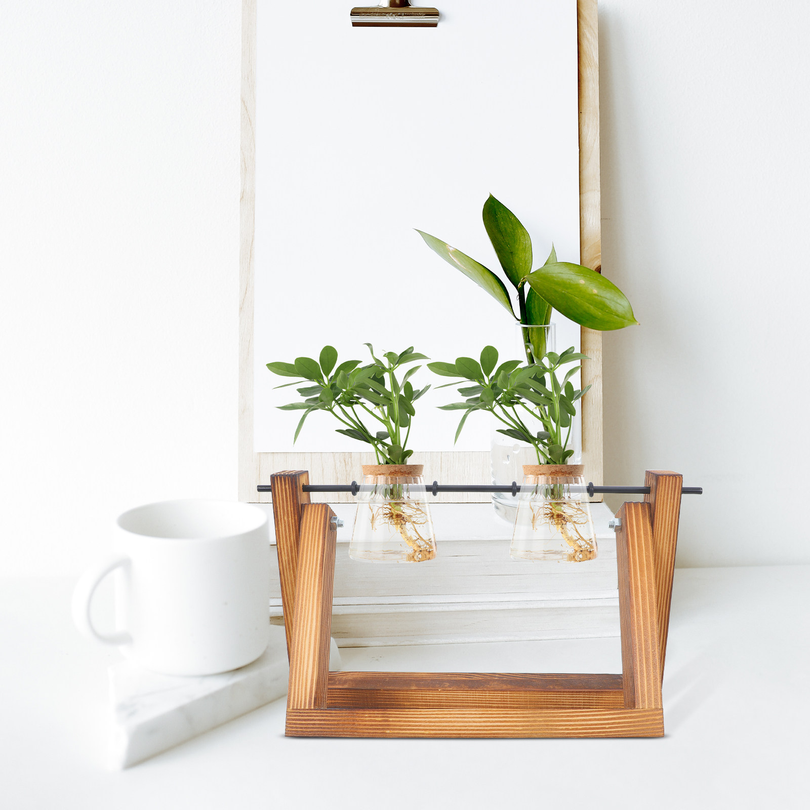Hydroponic Propagating Jars Ho - Propagation Station Vase avis et prix