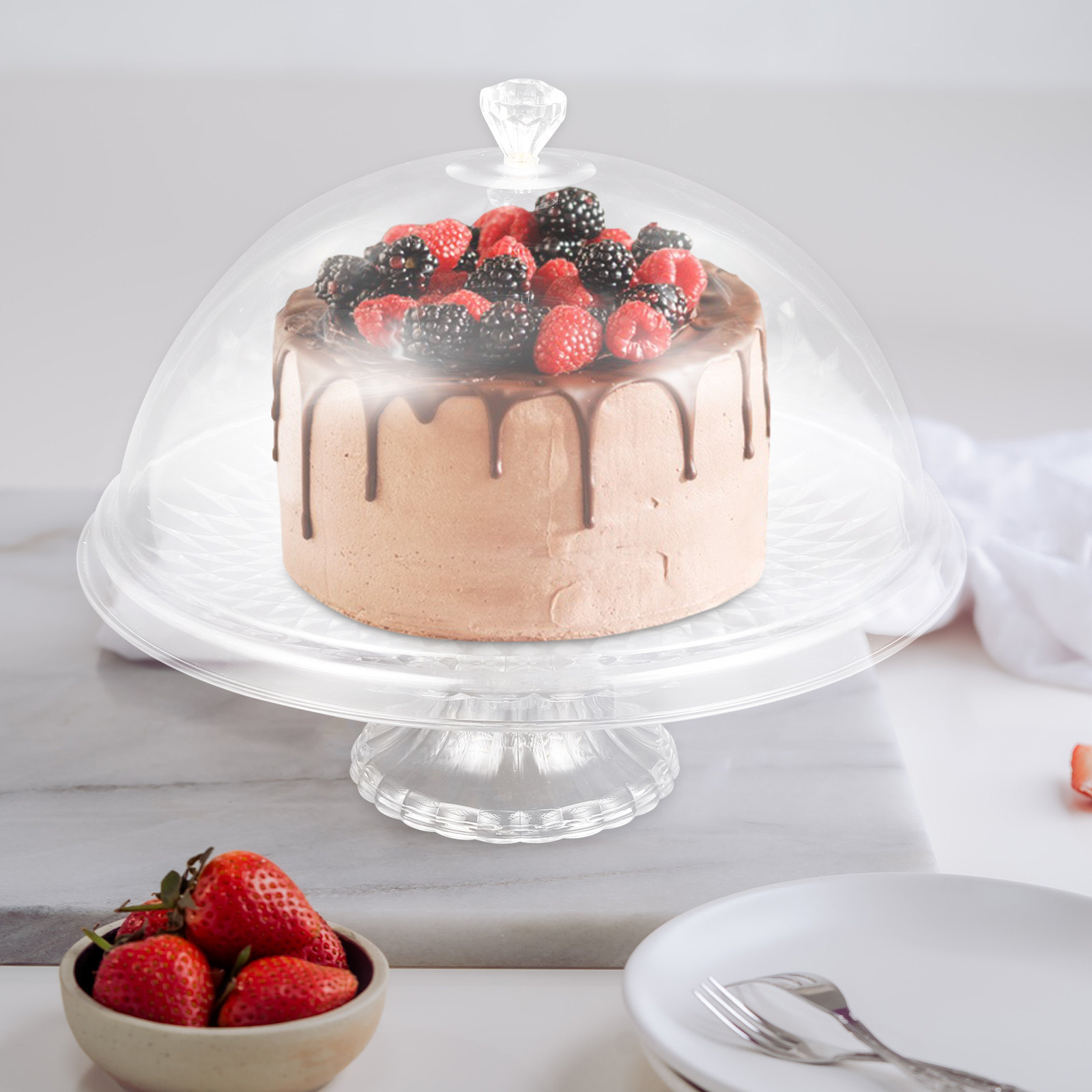 Clear Pet Cake Stand with Dome - Plastic Dome Clear avis et prix