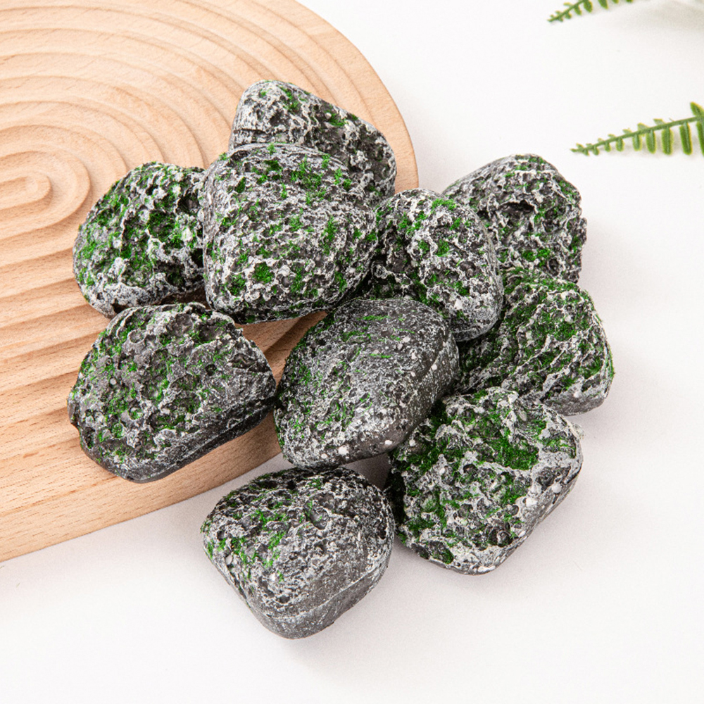 10PCS Mossy Gray Stone Multi-s - Sphagnum Moss Dry avis et prix