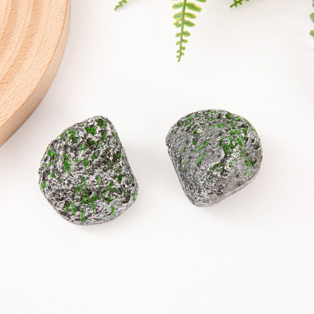 10PCS Mossy Gray Stone Multi-s - Sphagnum Moss Dry avis et prix