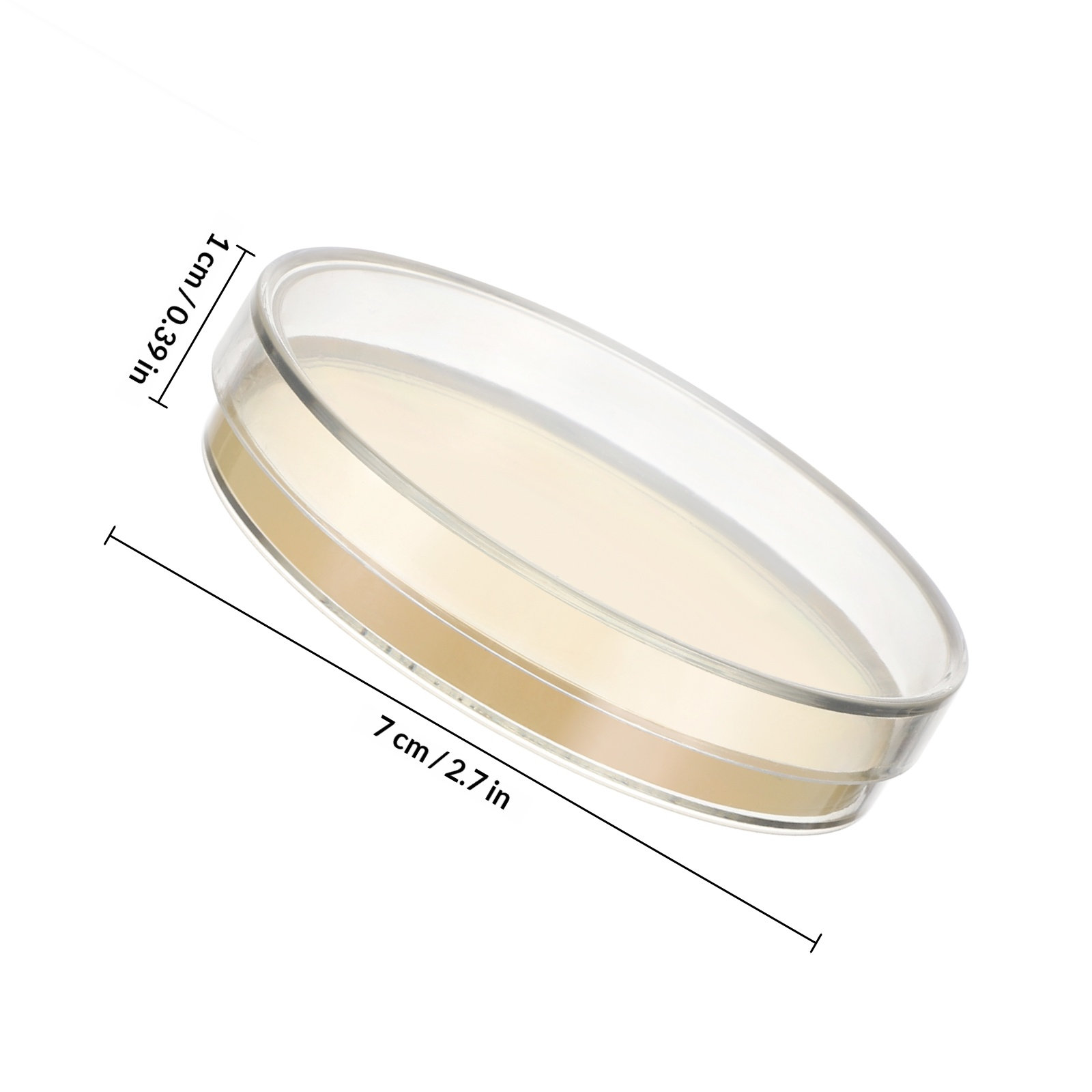 Agar Plates 10pcs Ready to Use - Agar Tissue Culture avis et prix