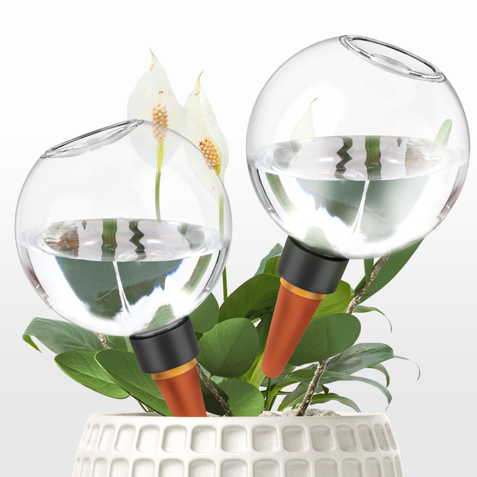 2/4Pcs 500ML Automatic Drip Ir - Self Watering Insert avis et prix