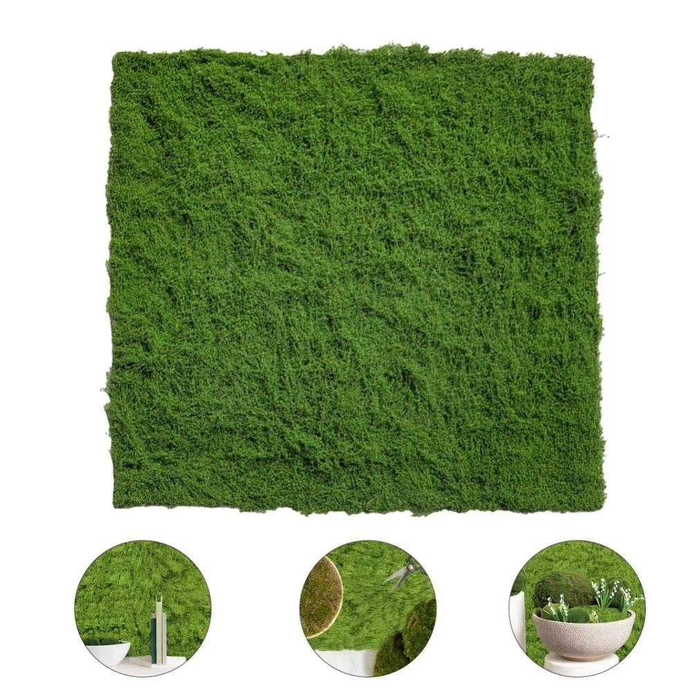 DIY Artificial Grass Rug Lifel - Sphagnum Moss Dry avis et prix