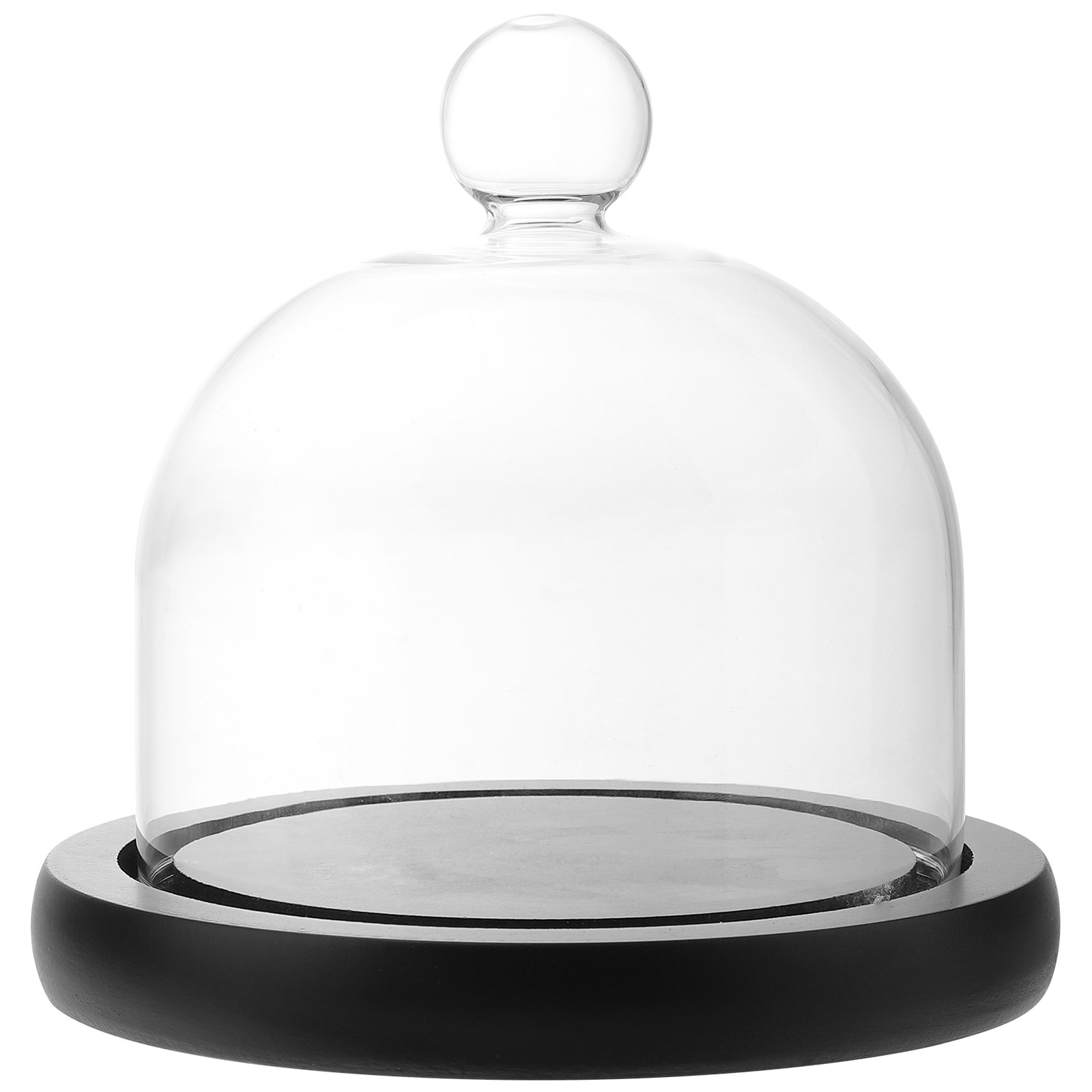Clear Glass Display Dome for P - Plastic Dome Clear avis et prix
