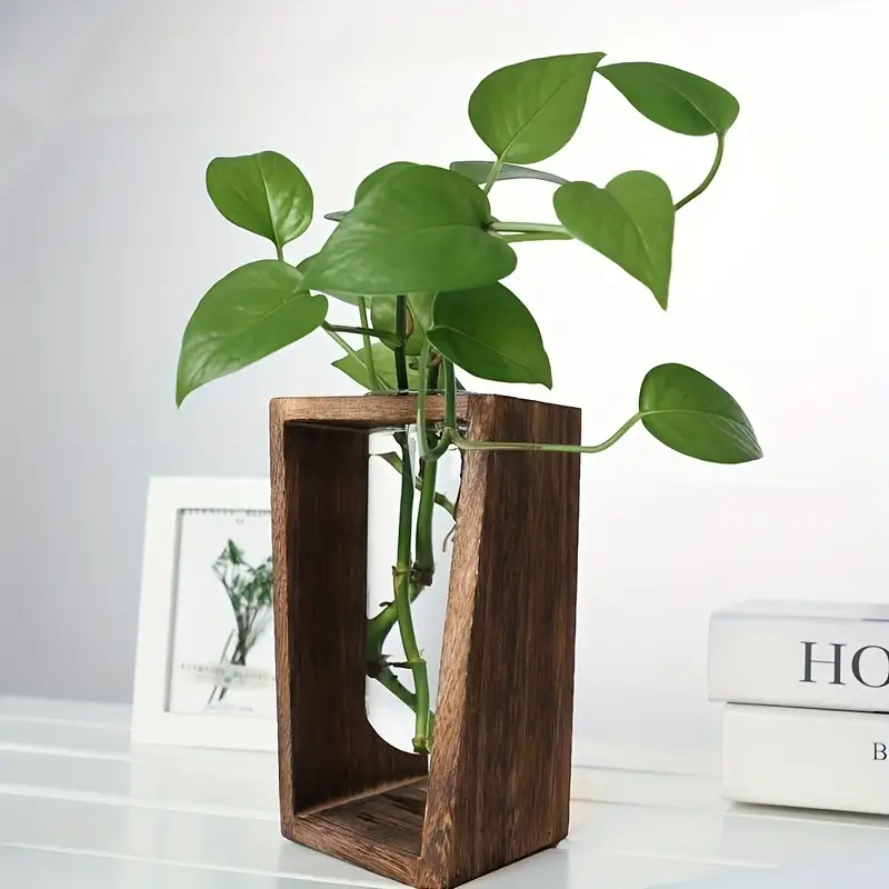 Modern Wood Propagation Vase - - Propagation Station Vase avis et prix