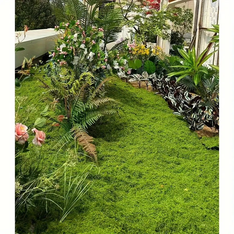 100cm*100cm Articiaifl moss ca - Sphagnum Moss Dry avis et prix