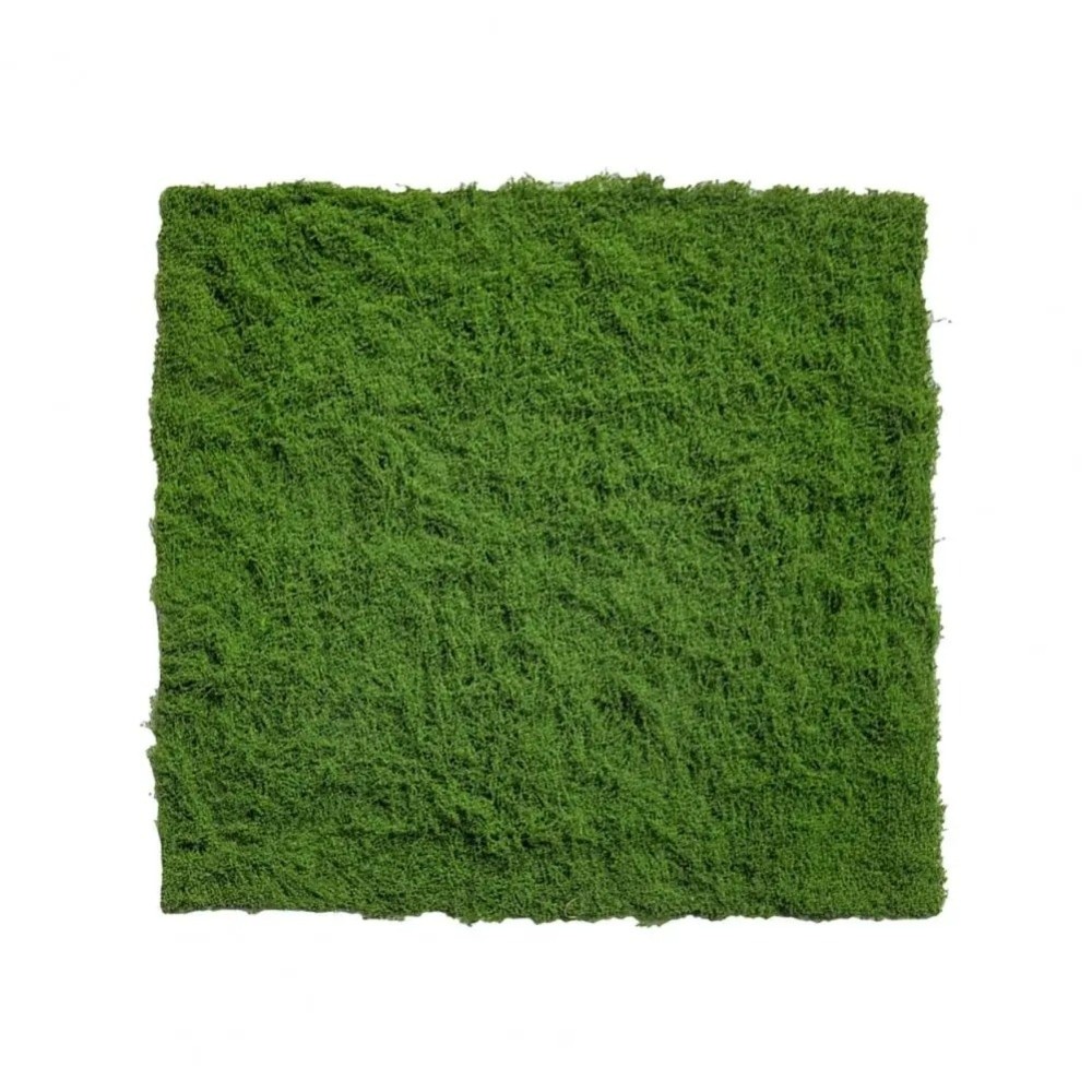 DIY Artificial Grass Rug Durab - Sphagnum Moss Dry avis et prix