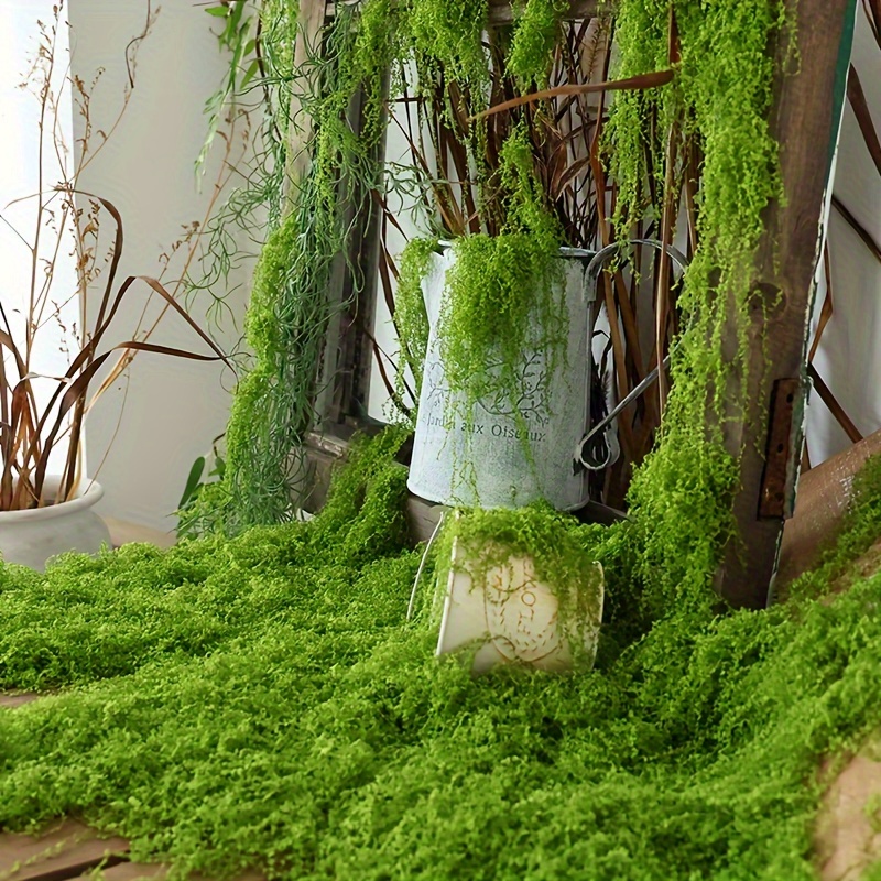 1pack Artificial Fake Moss, 1. - Sphagnum Moss Dry avis et prix