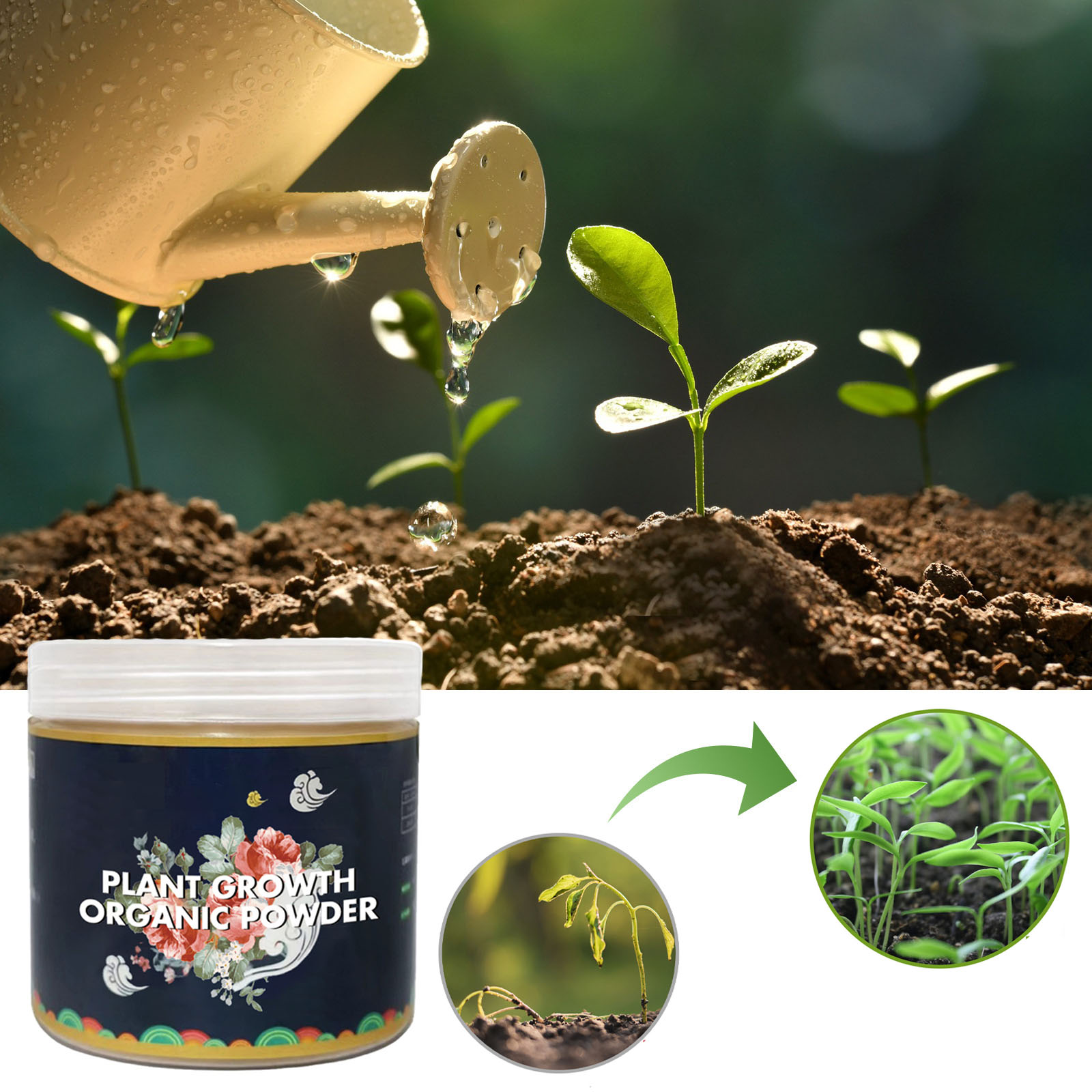 Fast Rooting Powder Plant Soil - Rooting Hormone Powder avis et prix