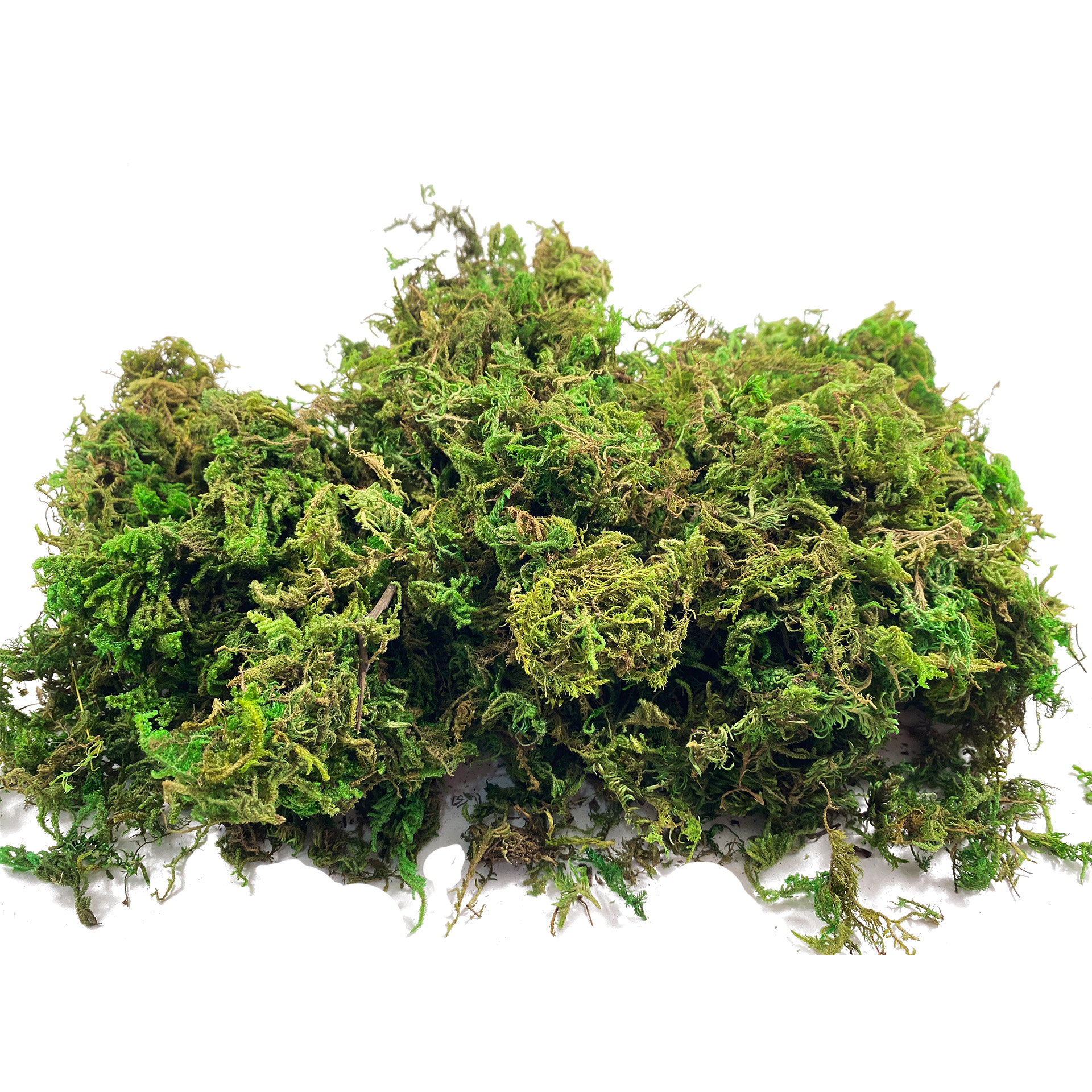 Artificial Fake Moss, Craft Mo - Sphagnum Moss Dry avis et prix