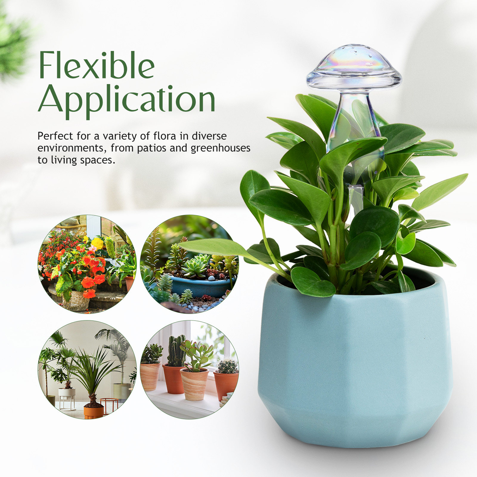 4 Pcs Pot Watering Device Plan - Self Watering Insert avis et prix