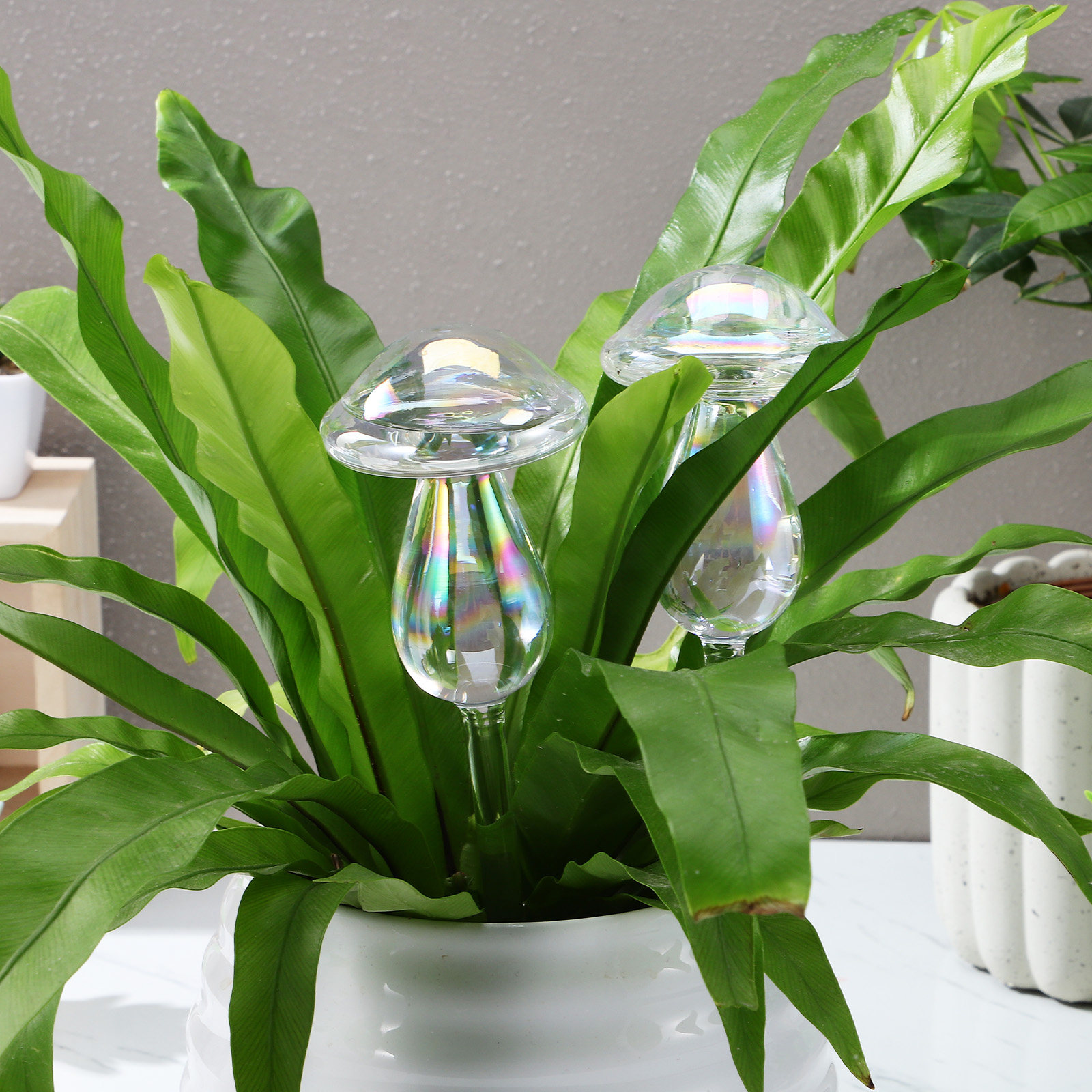 4 Pcs Pot Watering Device Plan - Self Watering Insert avis et prix