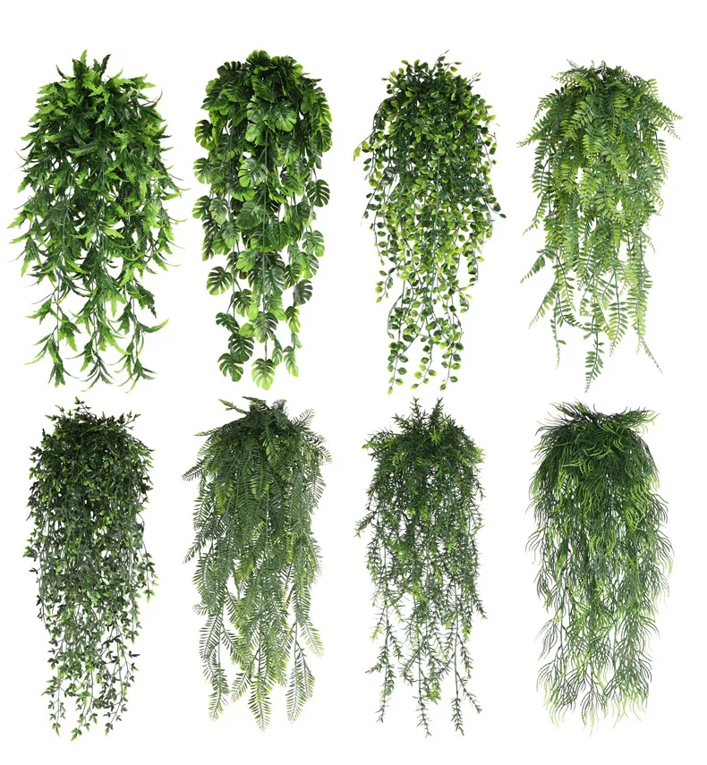 Persian fern Leaves Vines Home - Sphagnum Moss Dry avis et prix