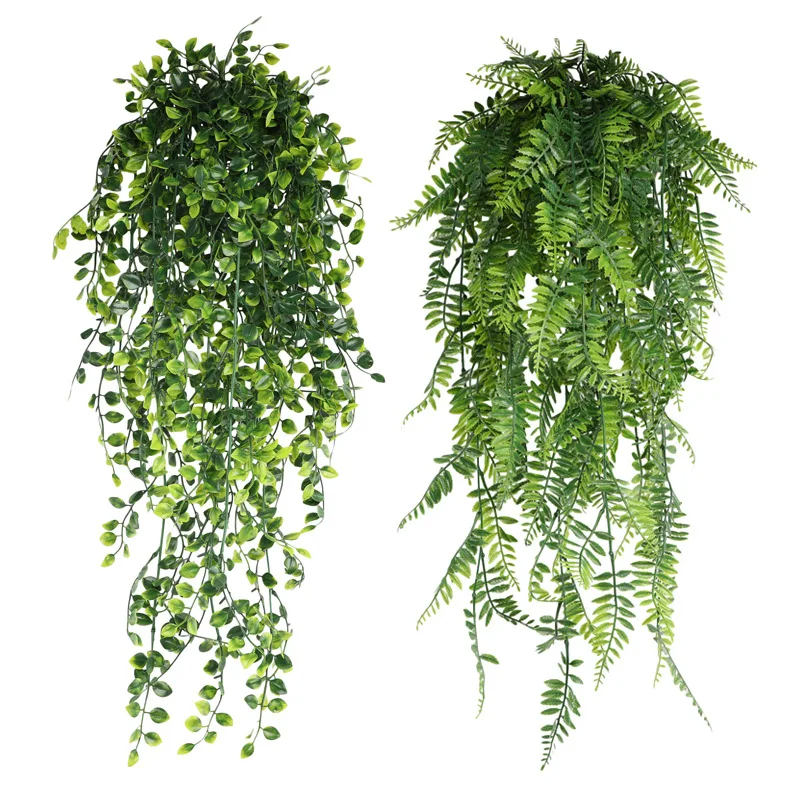 Persian fern Leaves Vines Home - Sphagnum Moss Dry avis et prix