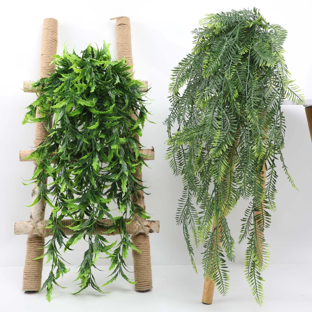 Persian fern Leaves Vines Home - Sphagnum Moss Dry avis et prix