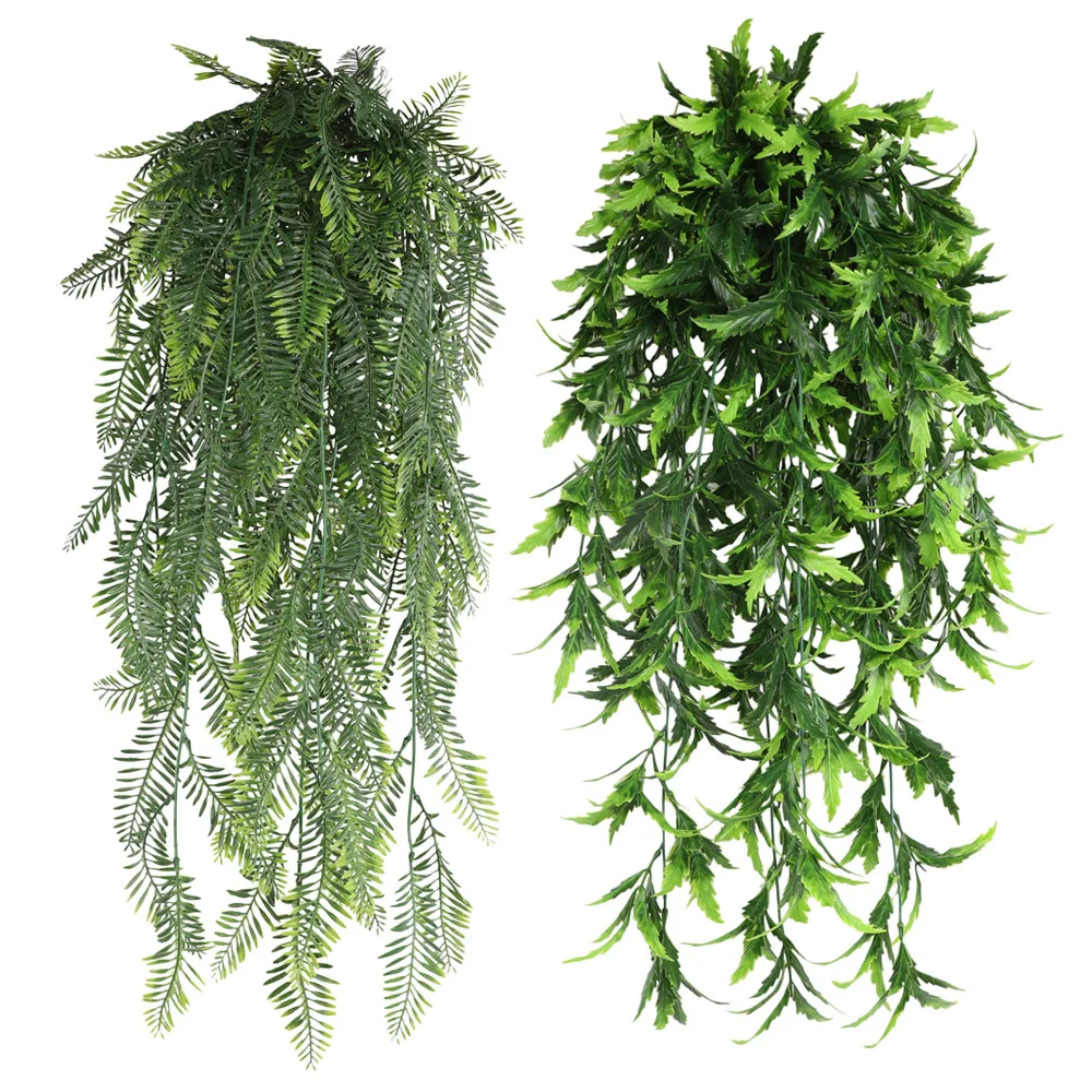 Persian fern Leaves Vines Home - Sphagnum Moss Dry avis et prix