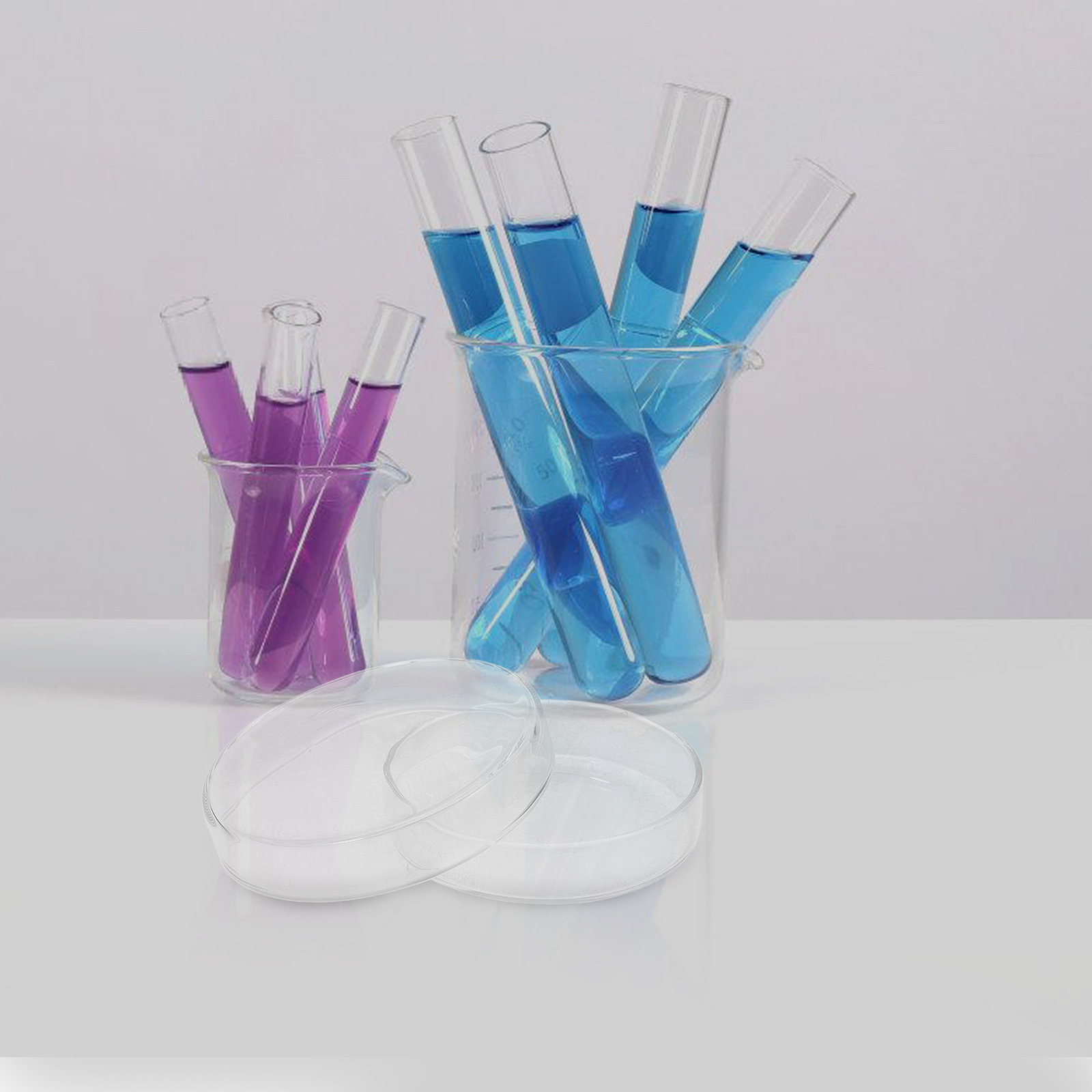 High Borosilicate Glass Petri  - Agar Tissue Culture avis et prix