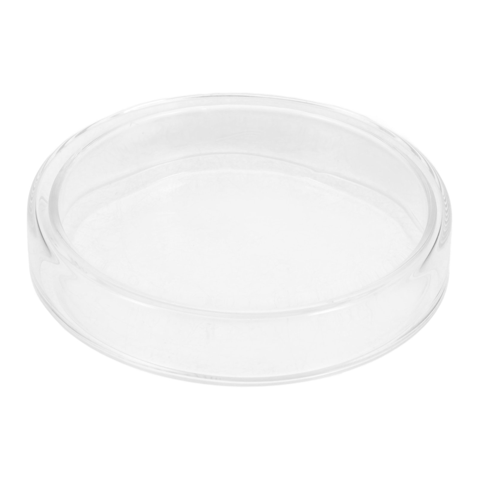 High Borosilicate Glass Petri  - Agar Tissue Culture avis et prix