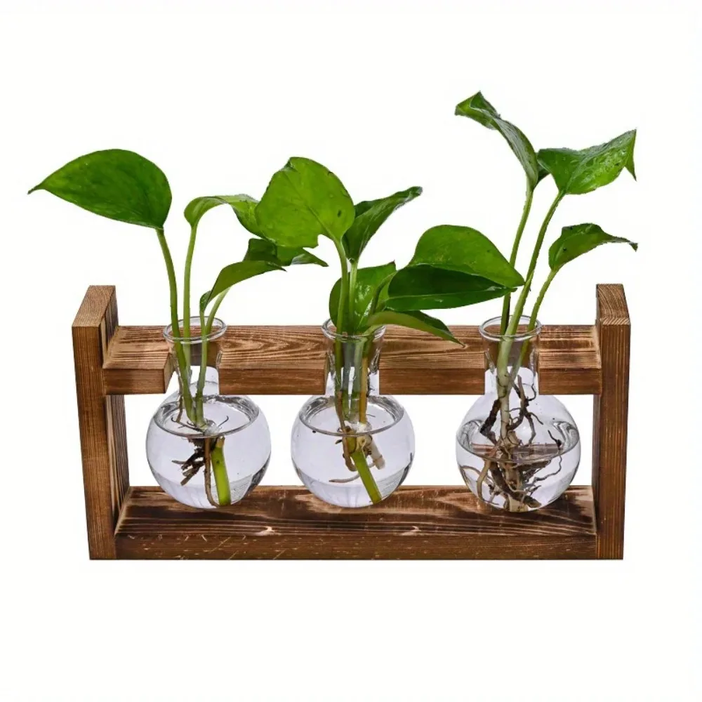 Tabletop Glass Planter Propaga - Propagation Station Vase avis et prix