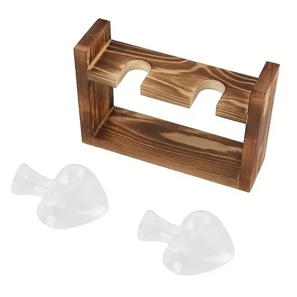 Tabletop Glass Planter Propaga - Propagation Station Vase avis et prix