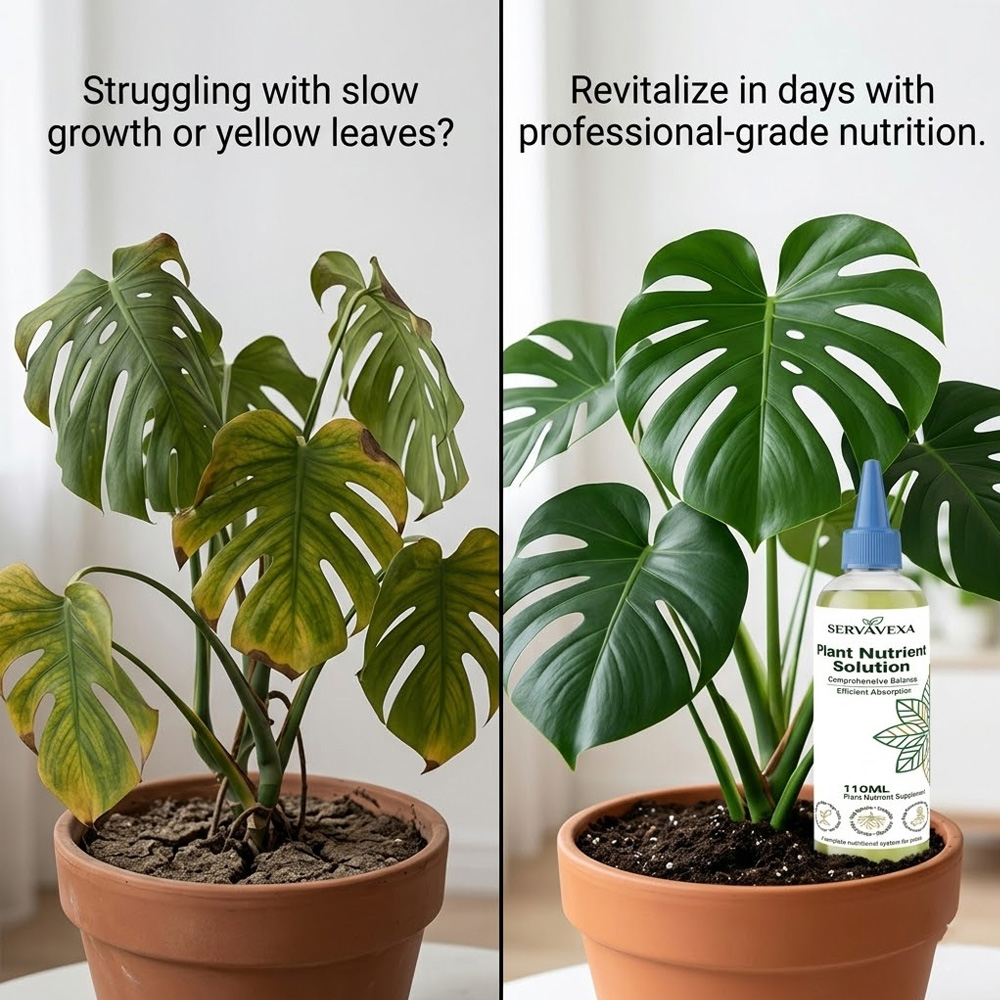 Plant  Nutrient Solution Rapid - Root Stimulator Liquid avis et prix