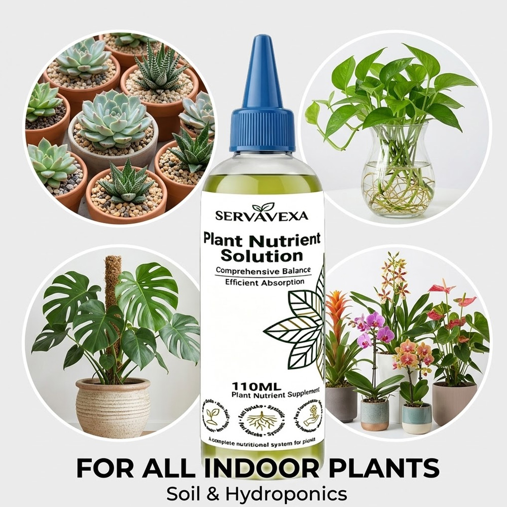 Plant  Nutrient Solution Rapid - Root Stimulator Liquid avis et prix