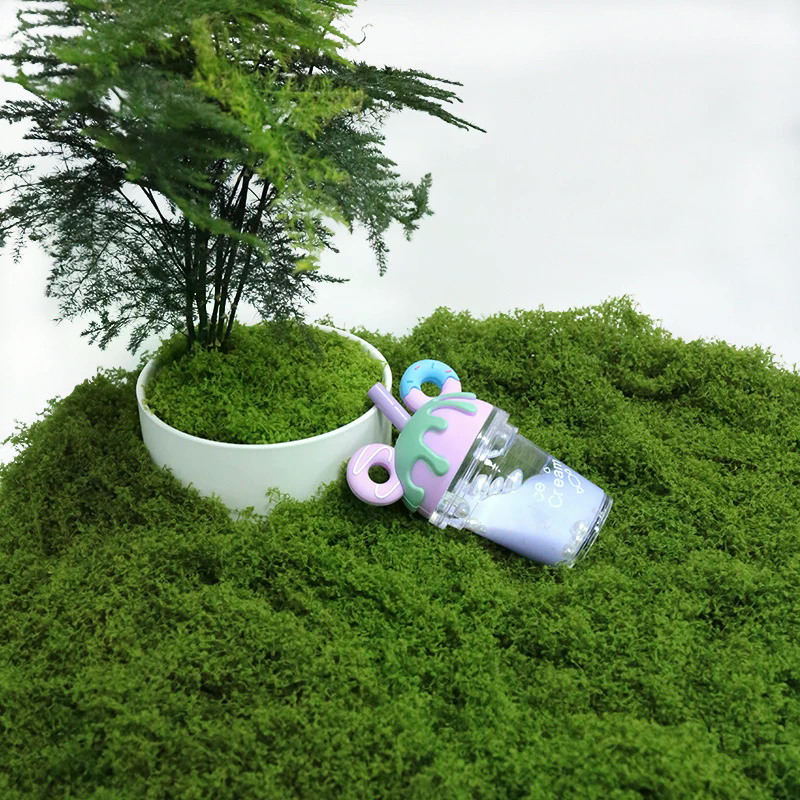 50g Fake Moss DIY Crafts Grass - Sphagnum Moss Dry avis et prix