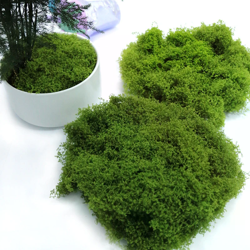 50g Fake Moss DIY Crafts Grass - Sphagnum Moss Dry avis et prix