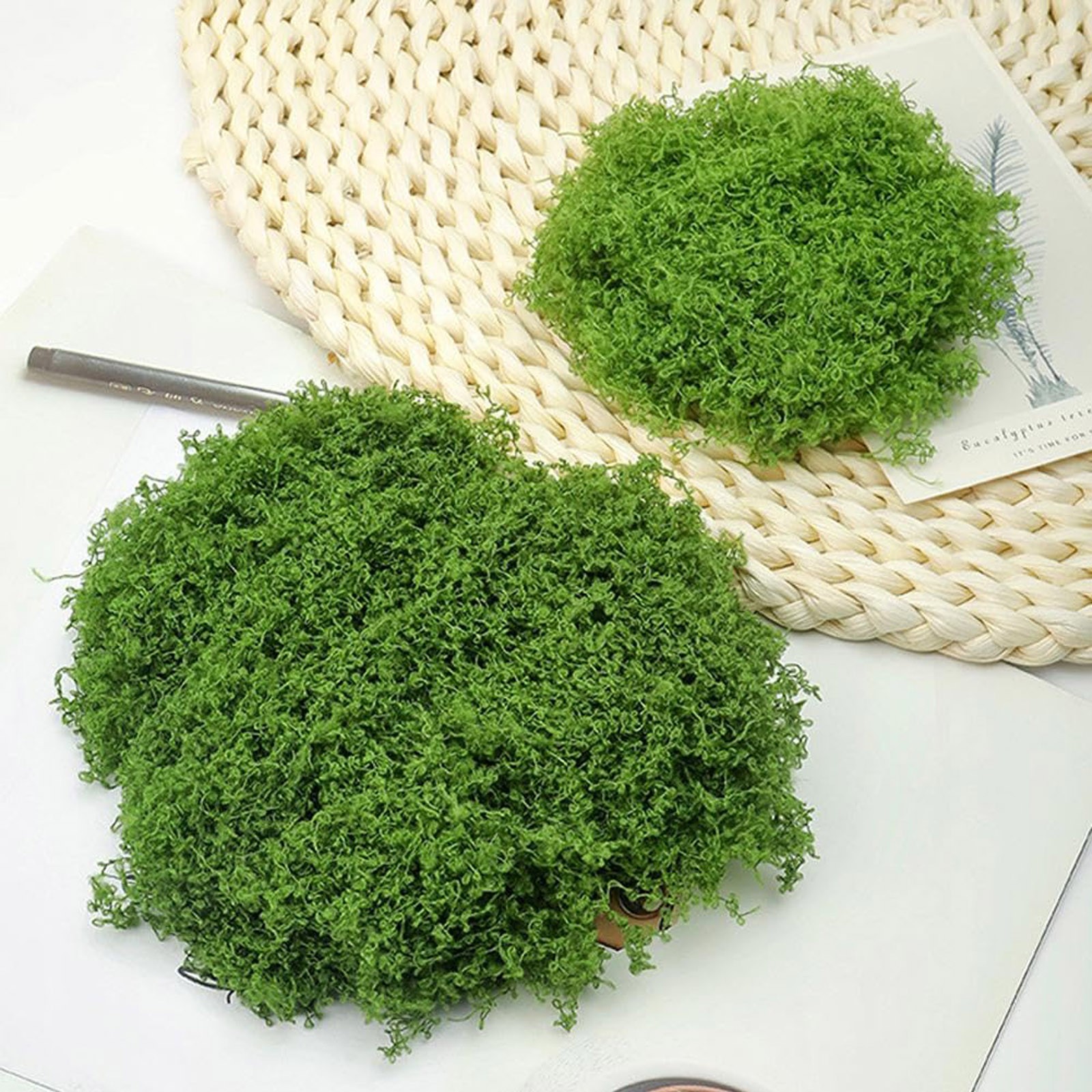 50/200g Artificial Moss For De - Sphagnum Moss Dry avis et prix