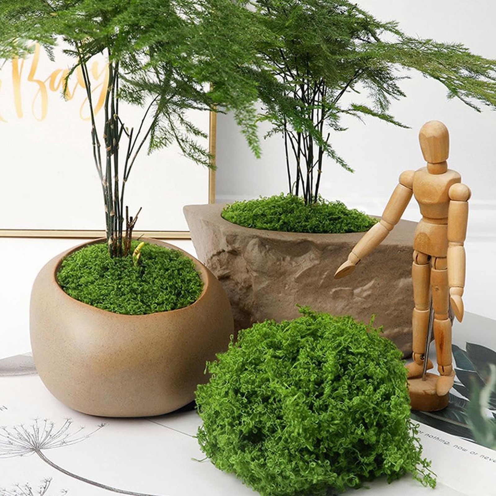 50/200g Artificial Moss For De - Sphagnum Moss Dry avis et prix