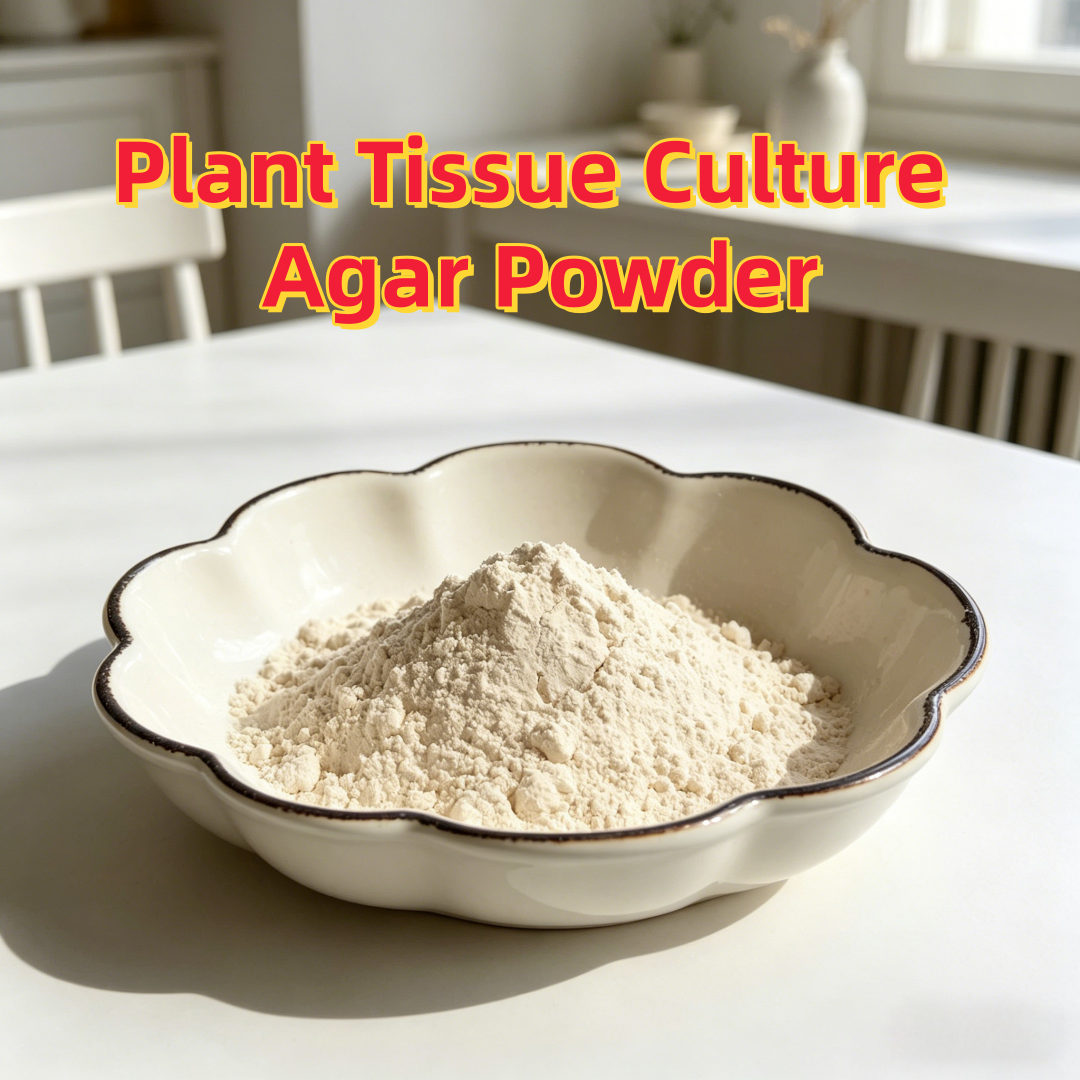 High Gel Strength Plant Tissue - Agar Tissue Culture avis et prix
