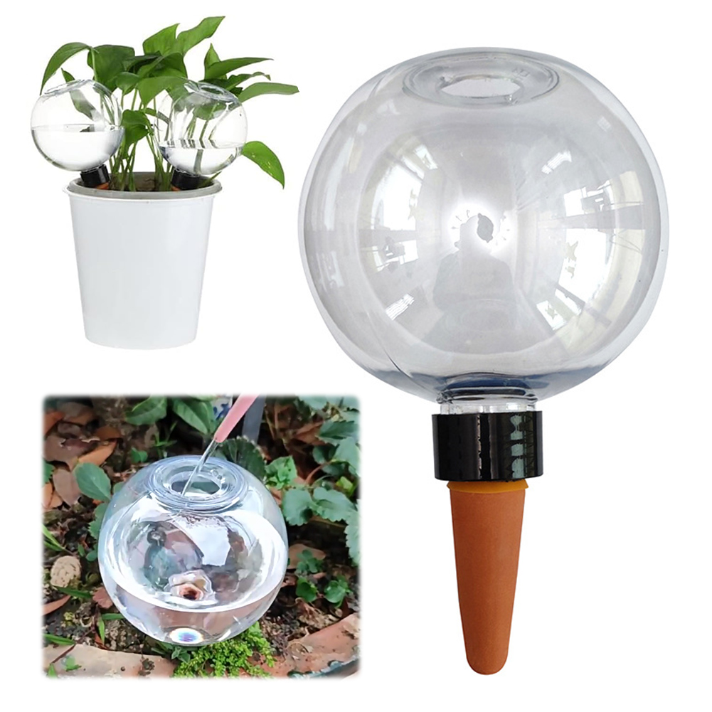 500ML Self Watering Globes Dri - Self Watering Insert avis et prix