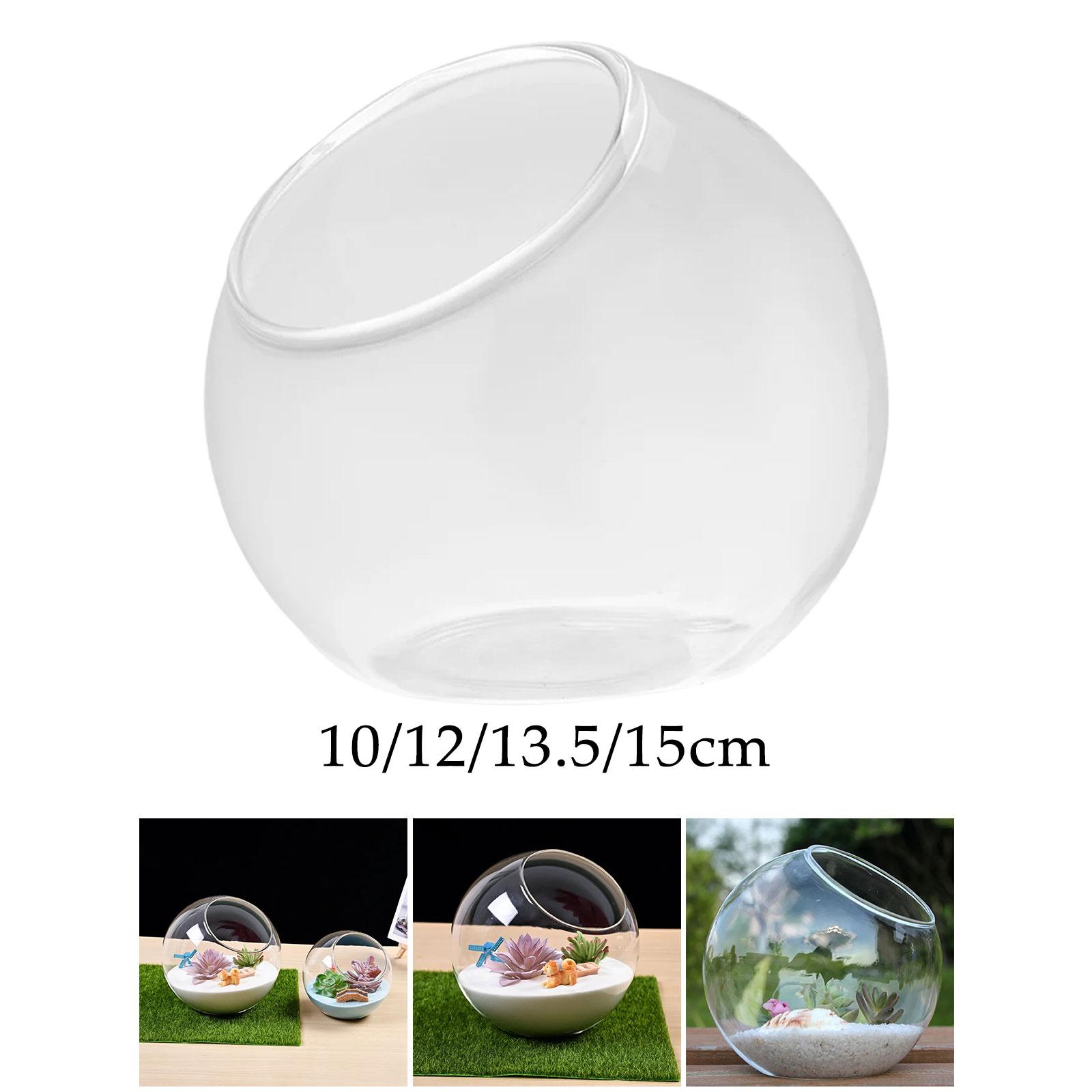 Terrarium Glass Vase Unique Ce - Propagation Station Vase avis et prix