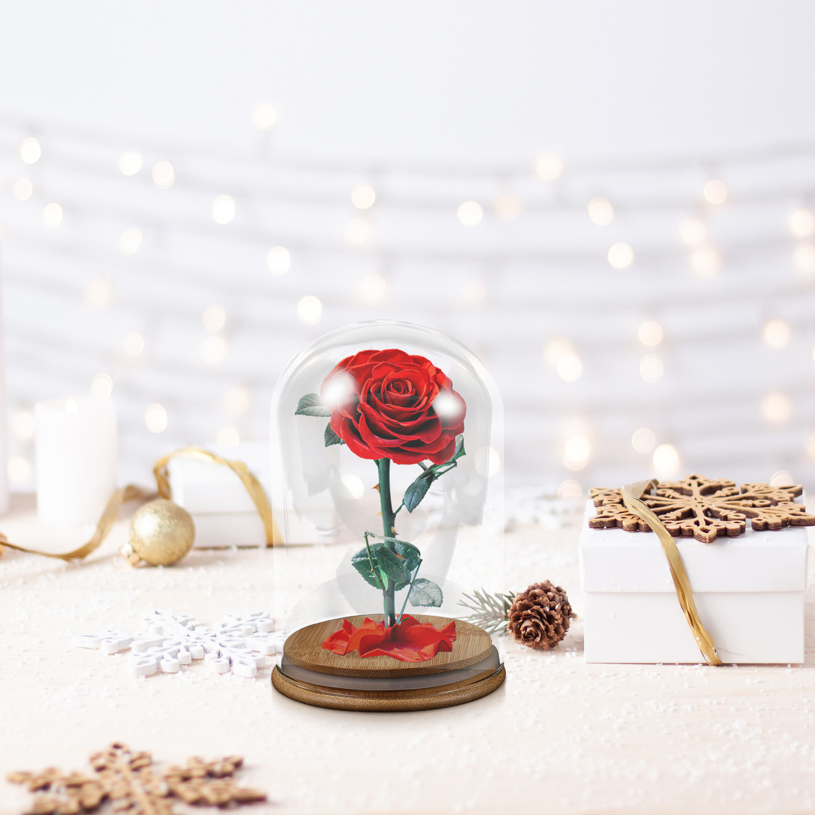 Glass Cloche Display Dome Bell - Plastic Dome Clear avis et prix