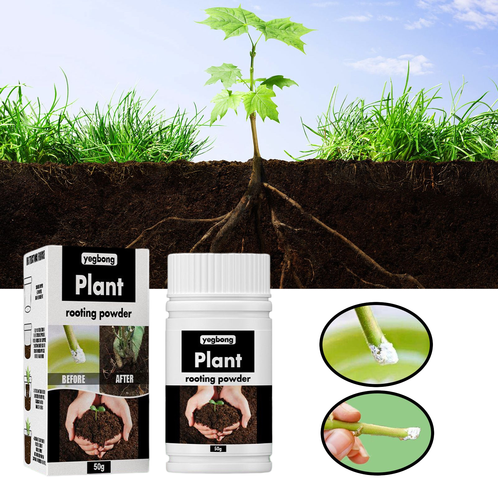 1Rare Plant Rooting Powder Pla - Rooting Hormone Powder avis et prix