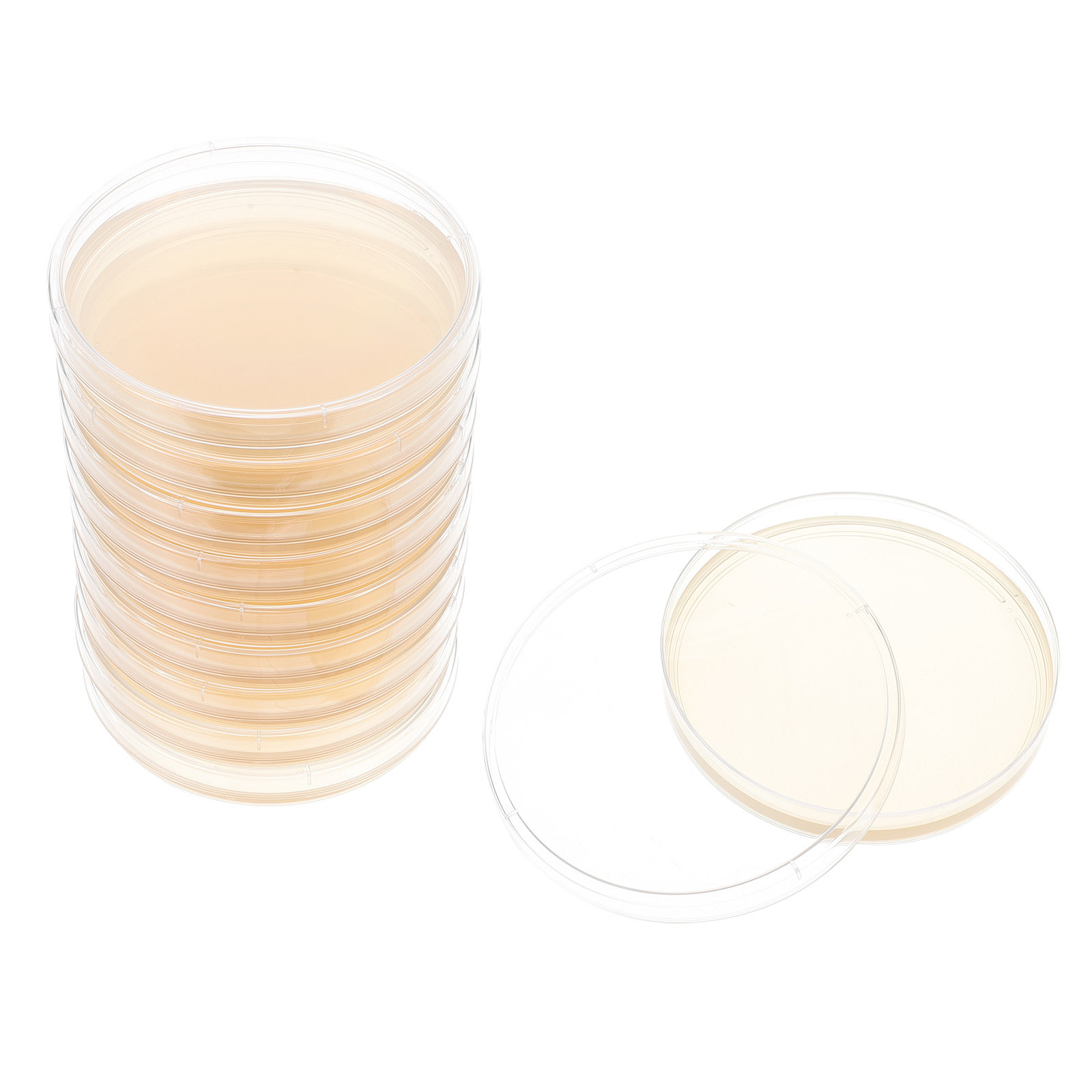 10pcs Nutrient Agar Plates Pre - Agar Tissue Culture avis et prix